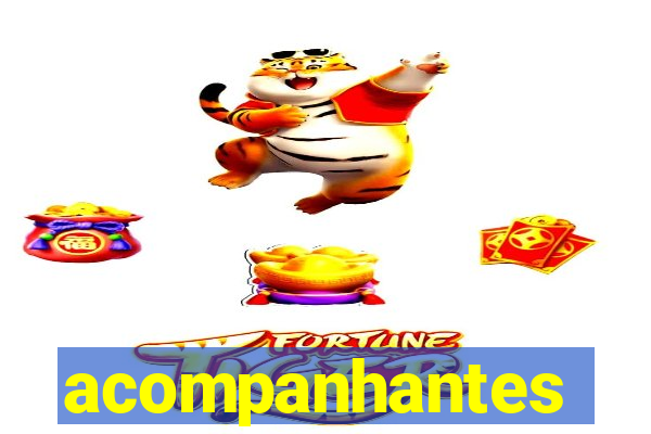 acompanhantes chamada de video